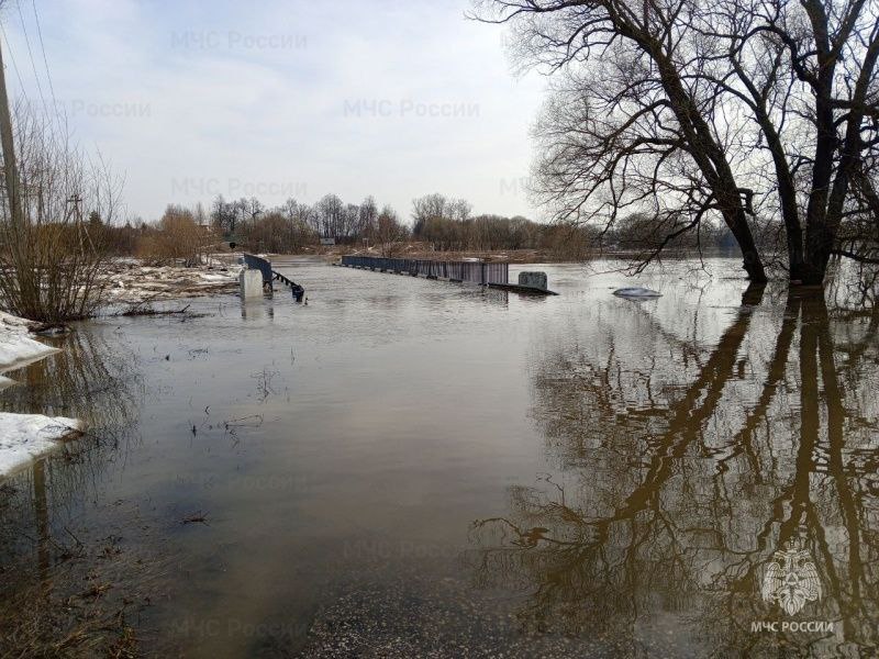Во Владимирской области затопило 195 участков и четыре моста