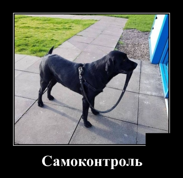 Перед свадьбой отец дает сыну наставления Перед свадьбой отец дает сыну наставления анекдоты,веселье,демотиваторы,приколы,смех,юмор