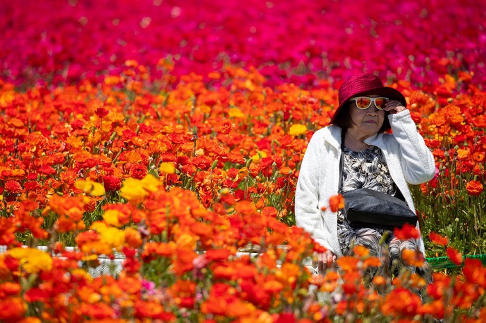 20 самых странных фотографий 2018 года по версии агентства Reuters фотография