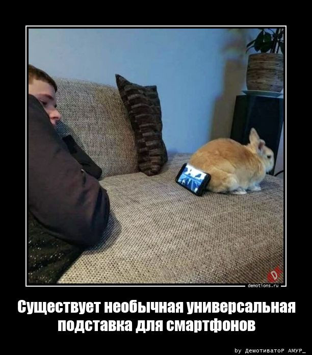 Демотиваторы дня: «Когда проснулся, тогда и завтрак» город Псков г,о,[95247259],г,Псков [1061631],Псковская обл,[1061373]