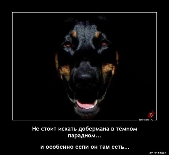 Демотиваторы дня: «Когда проснулся, тогда и завтрак» город Псков г,о,[95247259],г,Псков [1061631],Псковская обл,[1061373]
