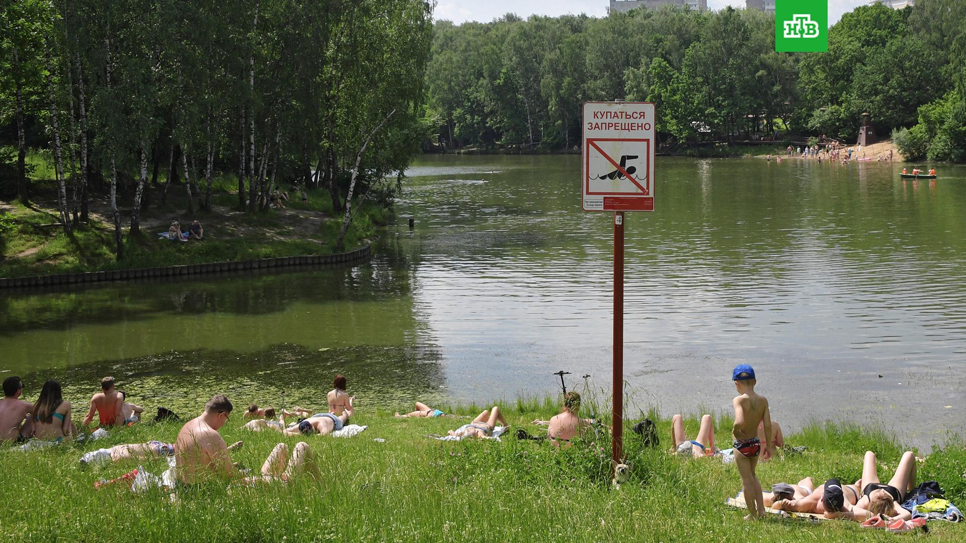 Озера где можно купаться. Озеро Тропарево в Москве. Тропарево парк купаться. Место для купания. Купаться запрещено.