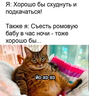 Незаконченная диссертация о котах... никогда, всегда, посмотрел, сказала, торжественно, законченаКот, будет, потому, диссертацию, защитить, котах, гадость»На, какая, ванной, задремал, надоЧеловек, Когда, раковине, уснул, когда