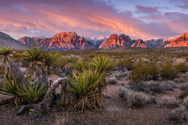 Блокчейн-сити: миллиардер хочет построить в пустыне город с новыми правилами