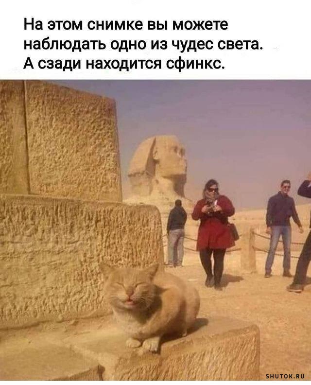 Самая нелюбимая песня альпинистов: Самая нелюбимая песня альпинистов: