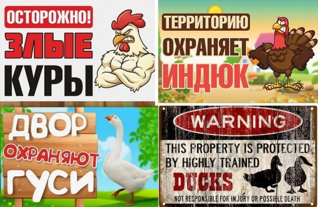 смешные юмористические прикольные таблички на забор дом