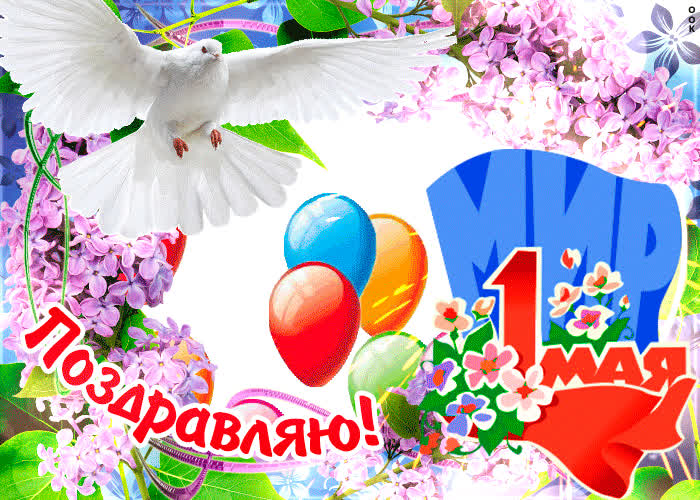 Красивые открытки «С 1 мая» для бабушек, дедушек, мам и пап — в общем, для всех можно, открытки, которые, бесплатно, открыток, Весны, теплее, попрежнему, весныСегодня, приход, ощутить, понастоящему, наконецто, температура, становится, воздуха, поздравлять, весну, только, чествует