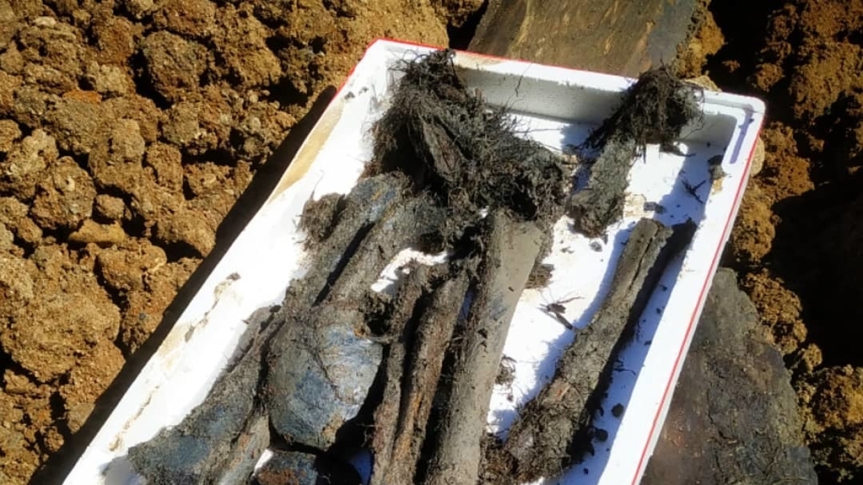 Продолжается эксгумация найденных останков в Приморье