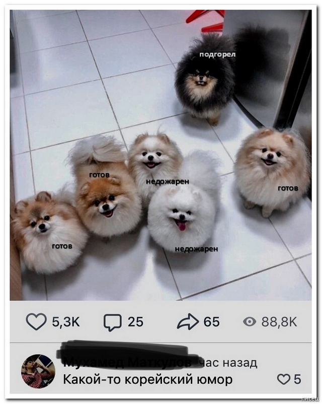 Суперприколы из социальных сетей, от которых болит живот Суперприколы из социальных сетей, от которых болит живот картинки,юмор