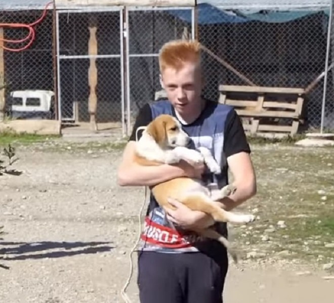 Мальчик и щенок