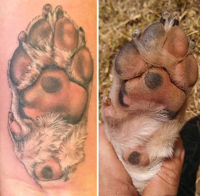 The Paws Of The Dogs Are Being Tattooed On Their Owners And The Result Is Adorable