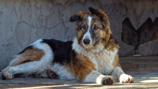 Как умирает доверие