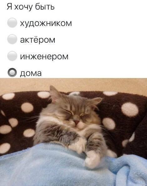 Мемы для отличного настроения 