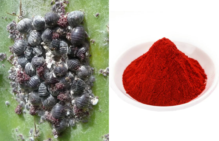 Красный пищевой краситель делают из жуков: 12 фактов о еде, которые точно удивят блюда,еда,факты