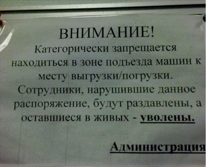 Подборка забавных и веселых картинок с надписями из нашей жизни 