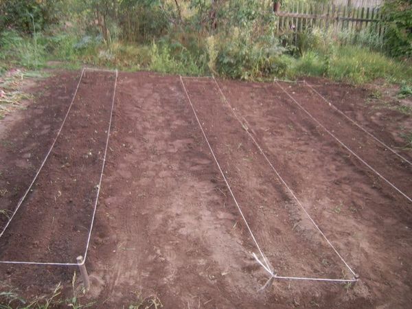 Весенняя подготовка грядок для высокой урожайности Весенняя подготовка грядок для высокой урожайности советы