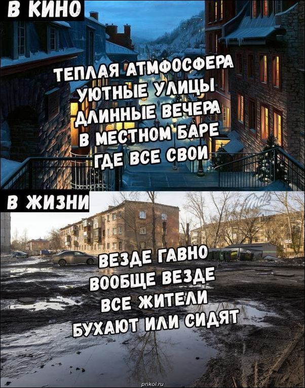 прикольные картинки