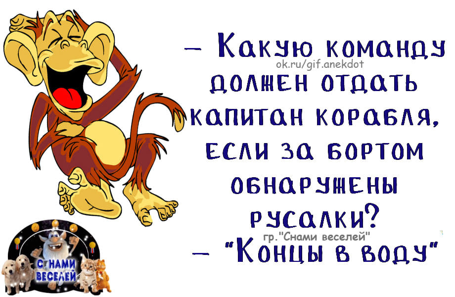 Гостья, показывая на портрет мyжчины, спрашивает y хозяйки: — А это кто?… Юмор,картинки приколы,приколы,приколы 2019,приколы про