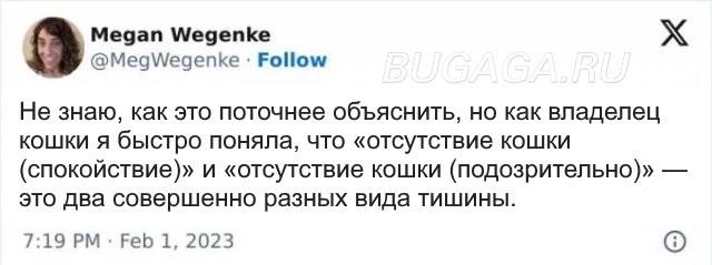 Прикольные КОТОмемы  