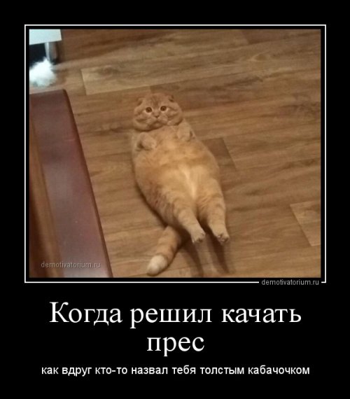 Всем улыбчивого дня и позитивного настроя! веселые картинки