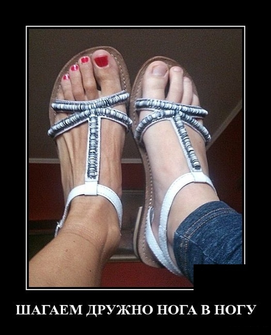 Демотиваторы 11 февраля 