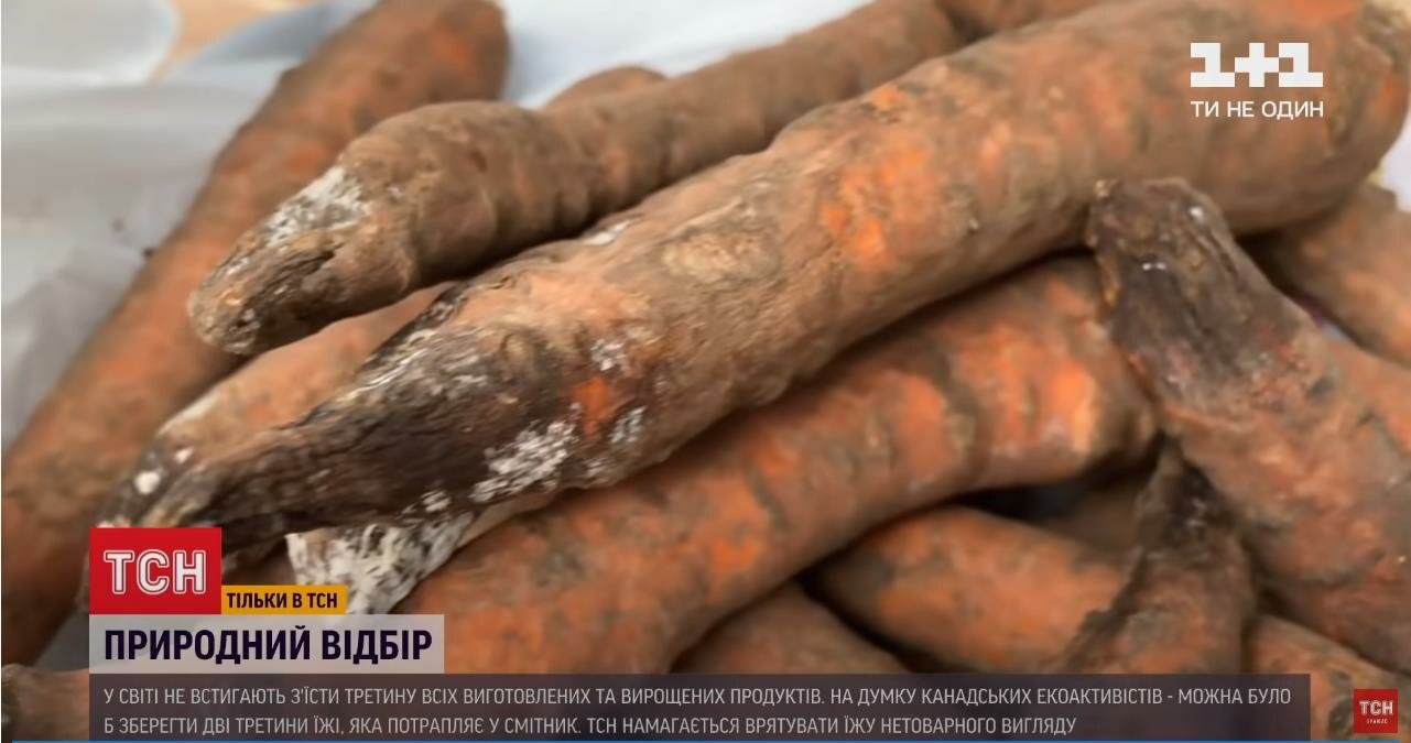 Лайфхак от ТСН украинцам: как сэкономить на еде украина