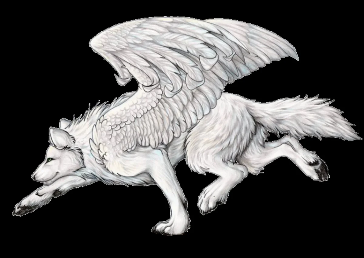 Крылатый волк. Семаргл и Симуран. Симуран Славянская мифология. Крылатый волк Семаргл. Симуран крылатый волк.