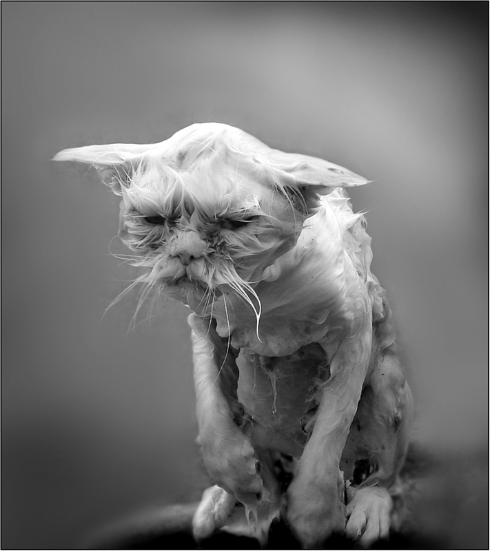 Влажные киски Влажные киски