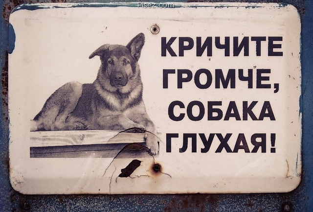 Кратко, чётко и понятно. Реально смешно!