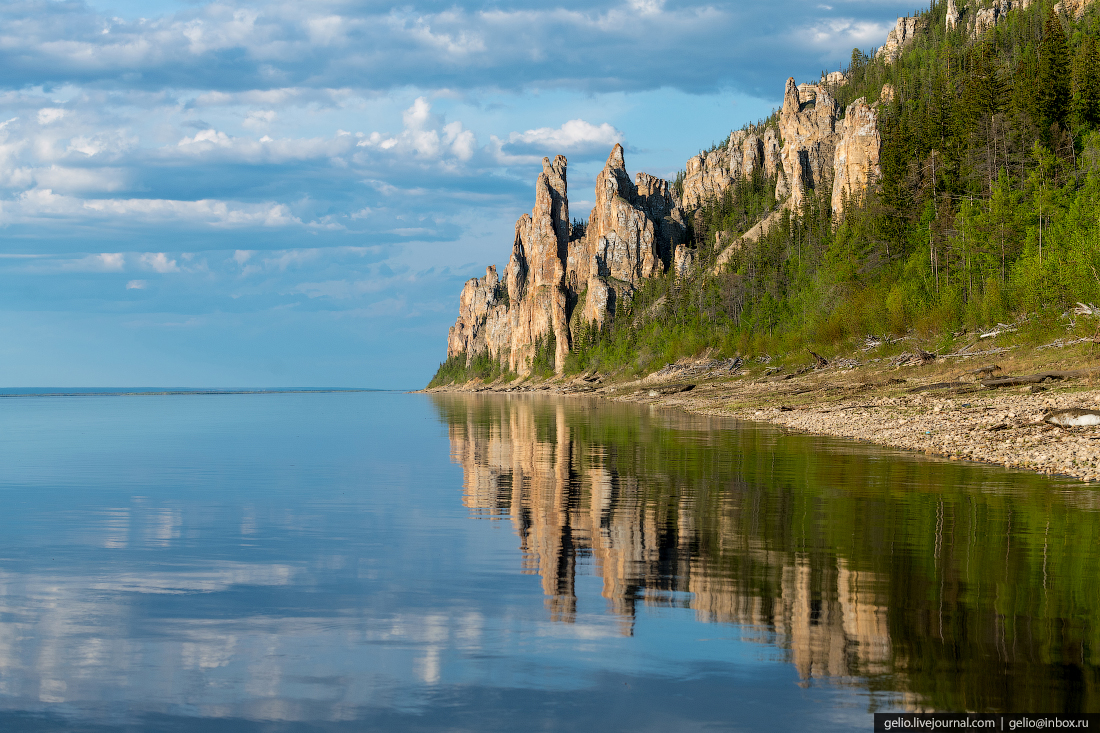 Природа якутии. Ленские столбы в Якутии. Якутия Ленские столбы лес. Ленские столбы каменный лес. Ленские столбы. Россия, река Лена..