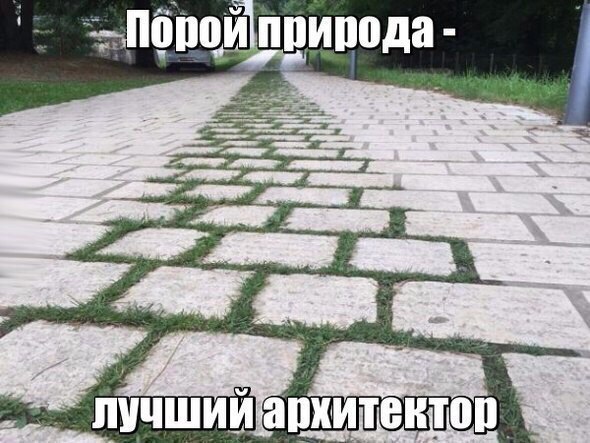 Позитивные картинки с надписью для поднятия настроения (11 фото)