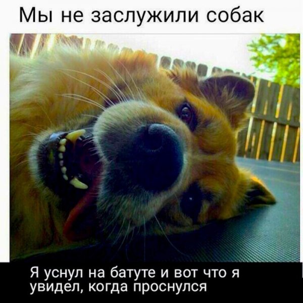 Смешные комментарии и высказывания из социальных сетей