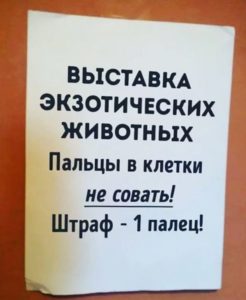 12 забавных объявлений 12 забавных объявлений