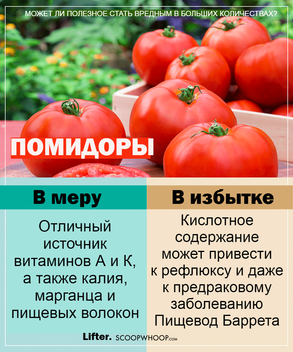 Сколько железа в помидорах. Нематодалар помидорда. Помидорда қурт. Волгомер томат.