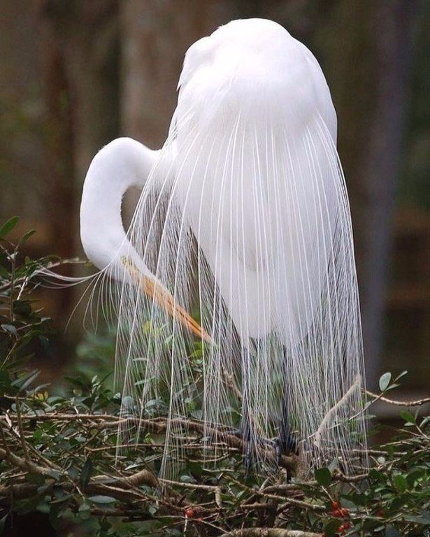 Красивые и яркие фотографии из нашей жизни Красивые и яркие фотографии из нашей жизни