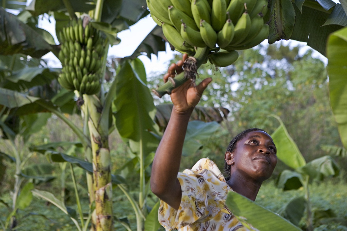 12 фактов об Уганде — жемчужине Африки