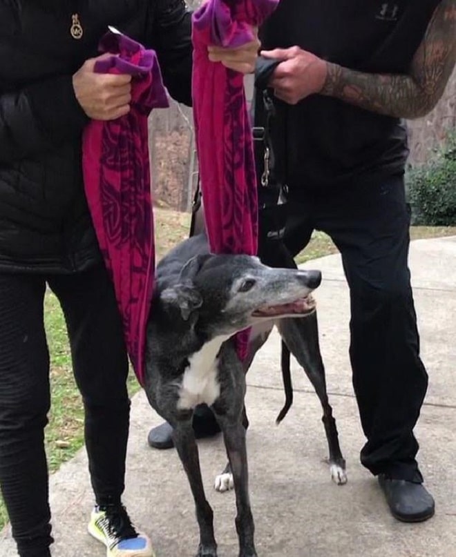 «Она не сможет ходить» — сказали врачи плачущей хозяйке, но собака оказалась сильней мрачных прогнозов «Она не сможет ходить» — сказали врачи плачущей хозяйке, но собака оказалась сильней мрачных прогнозов истории из жизни