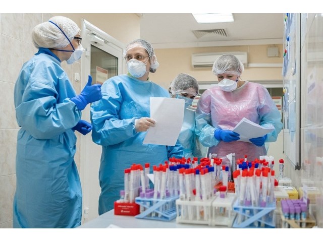 Курочка по зёрнышку клюёт — тесты на COVID-19 и интересы семьи Голиковой россия