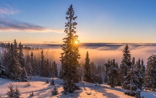 Планета зимы Какая, красота, чистота, кажется, передает, хрустящий, морозный, воздух, который, осторожно, нарушает, царящую, вокруг, снежную, красоту            