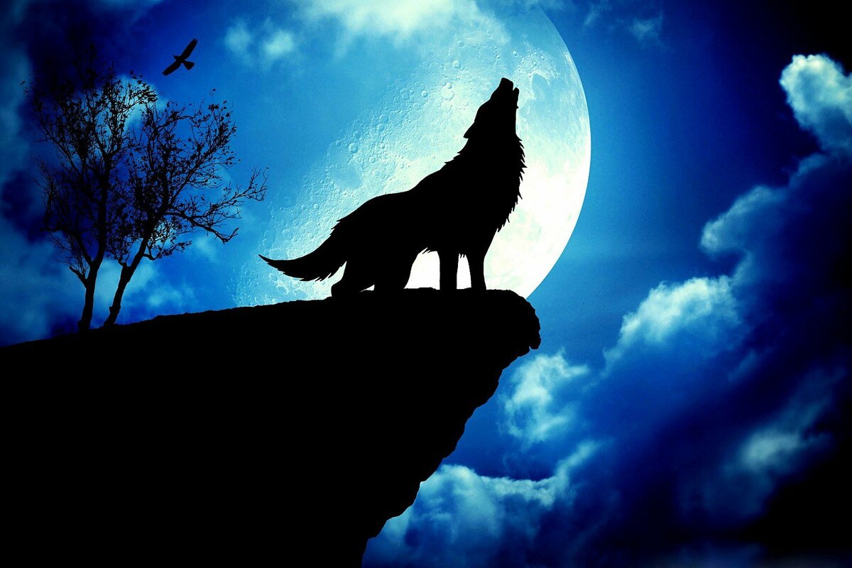 Луна Древнее Кладбище Славян ,и почему никто не говорит что волки,коты,и вороны просили у луны людские души