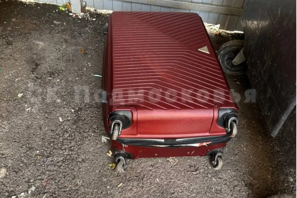 Чемоданы с останками тела девушки нашли на мусорке в Подмосковье