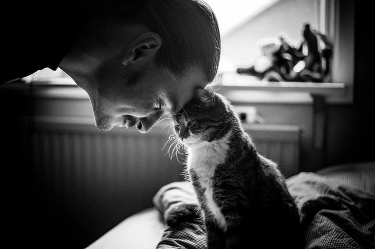 20 портретов, от которых не отвести глаз 20 портретов, от которых не отвести глаз