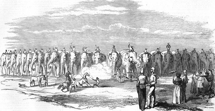Британские войска времен Второй Англо-Бирманской Войны 1852 года.