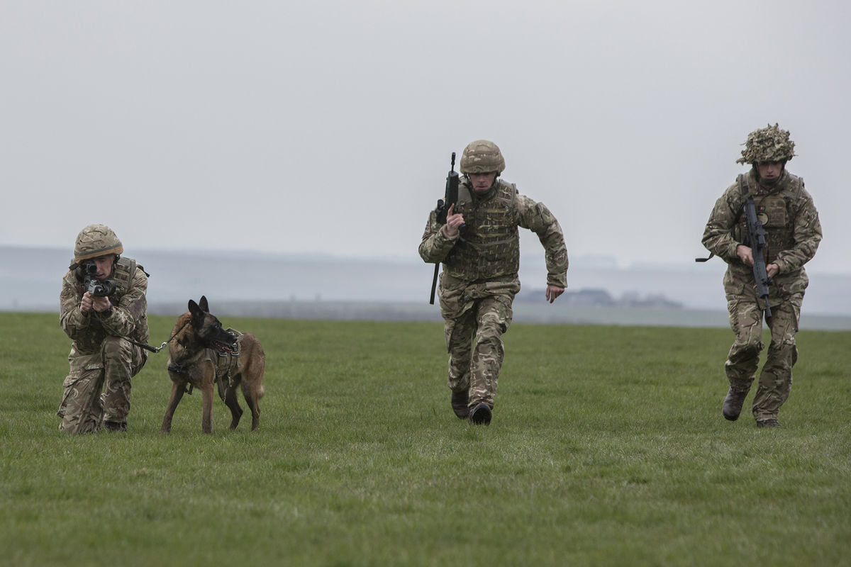 8 лет спустя картинка. Коткин 30 лет спустя. Александр коткин изобретатель. Тайна королевы анны, или мушкетеры 30 лет спустя фильм 1993. Коткин 30 лет спустя.
