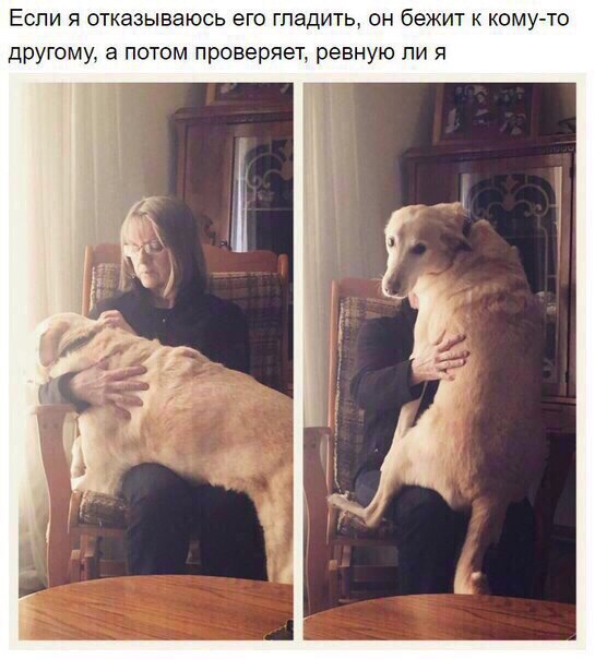 Позитивные картинки и фотографии Позитивные картинки и фотографии