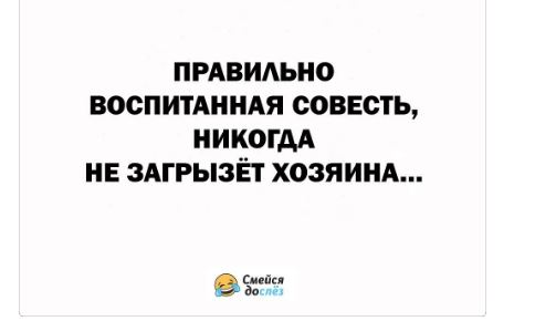 У природы нет плохой погоды и хорошей тоже не видать. Ураган у статуи Свободы нужно благодарно принимать 