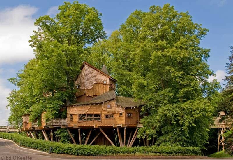 Самые дорогие игрушки в мире