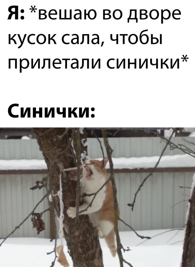 Подборка прикольных картинок Подборка прикольных картинок приколы,смешные картинки,юмор