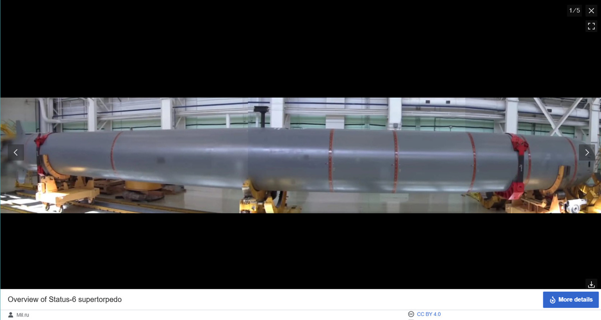    Скриншот: Wikipedia