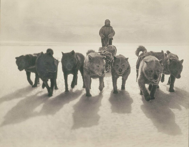 Выжить в ледяном аду: одиссея Дугласа Моусона – первого покорителя Антарктиды Антарктида,Дуглас Моусон,исследователь,полярник,экспедиция